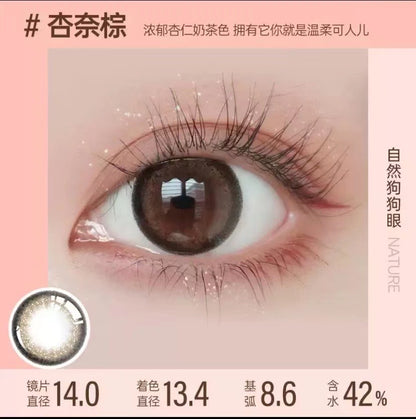 10 Pieces Daily Cosmetic Lenses（棕色系）